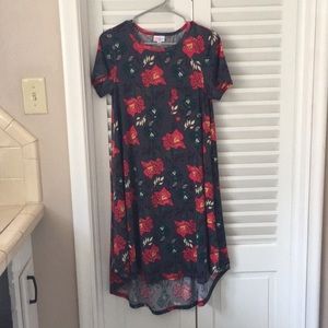 LulaRoe Carly dress